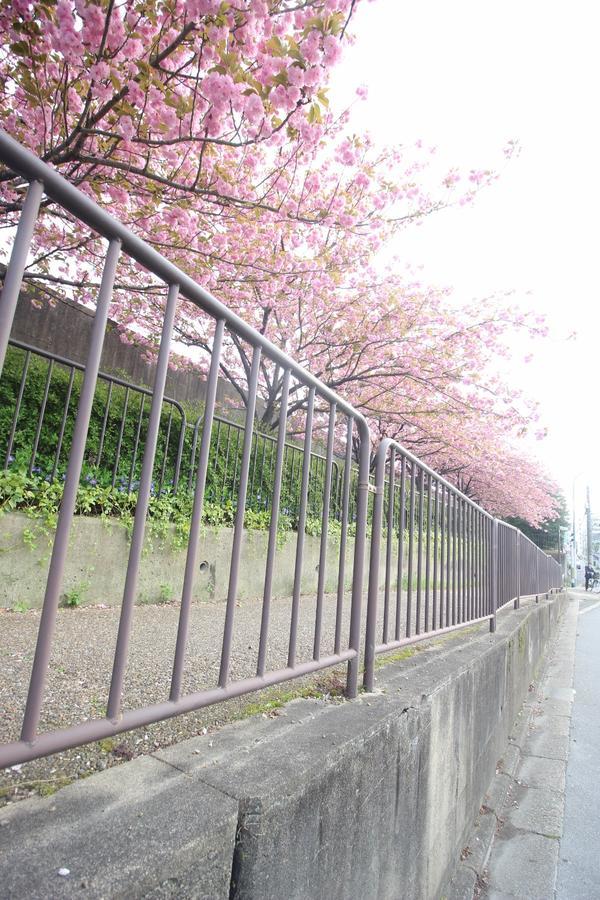 Kiyomori no Baika Hotel Kyoto Eksteriør billede